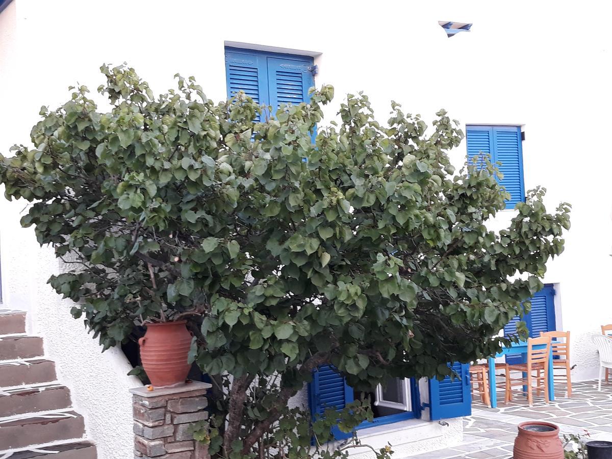 Holidays In Paros Alikí Exterior foto